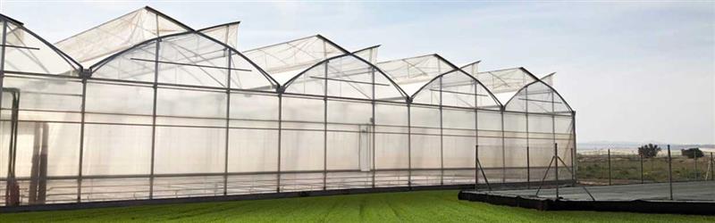 Which plastic sheets offer the best value for high-wear environments